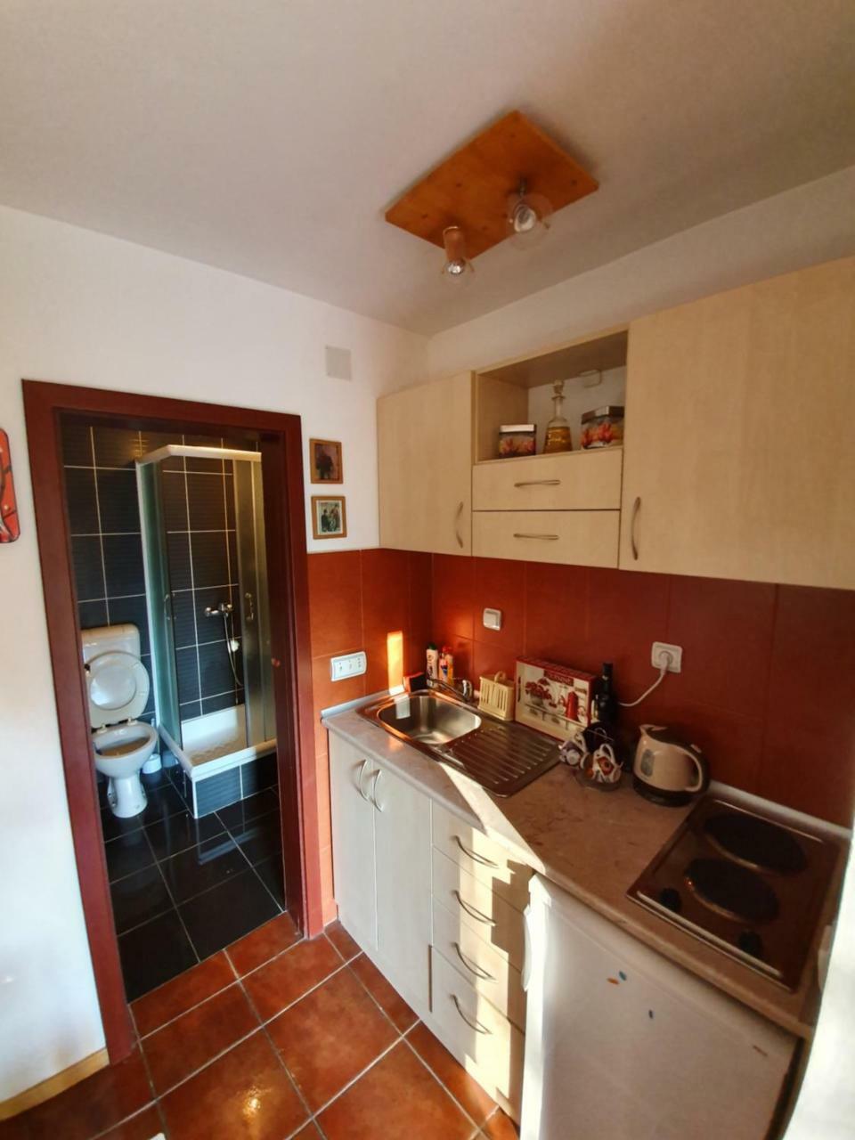 Apartment Matija Zlatibor Bagian luar foto